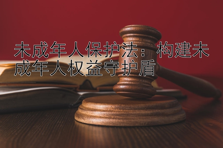 未成年人保护法：构建未成年人权益守护盾