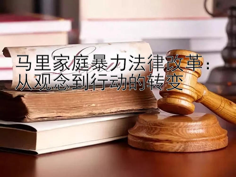 马里家庭暴力法律改革：从观念到行动的转变