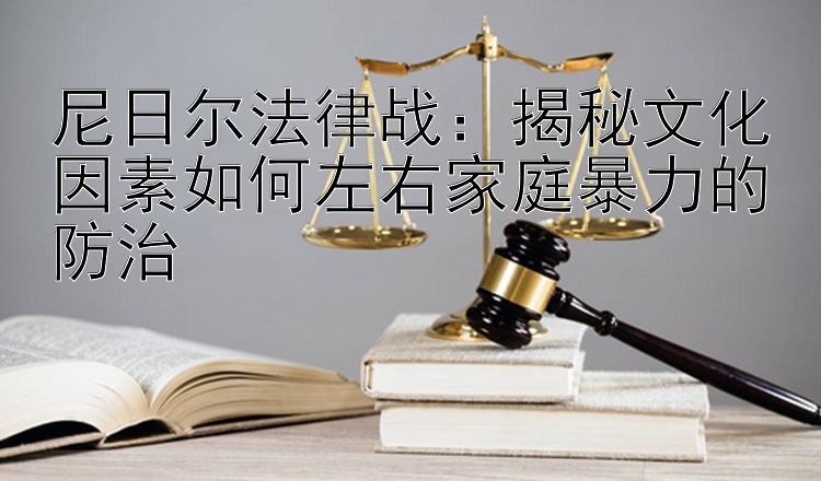 尼日尔法律战：揭秘文化因素如何左右家庭暴力的防治