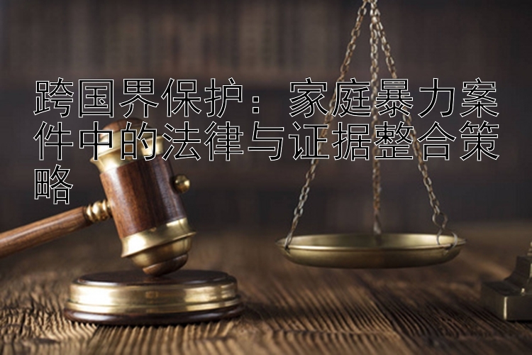 跨国界保护：家庭暴力案件中的法律与证据整合策略