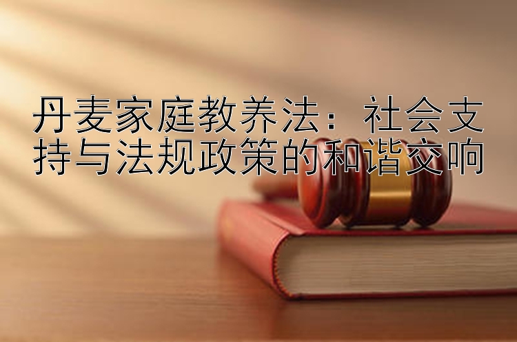 丹麦家庭教养法：社会支持与法规政策的和谐交响