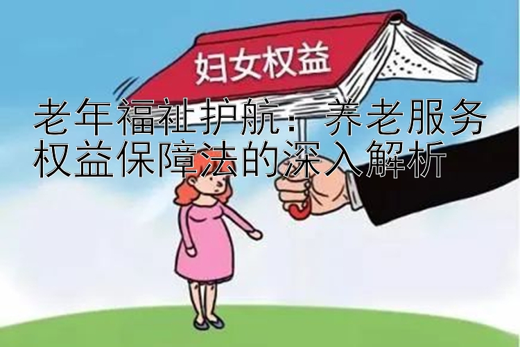 老年福祉护航：养老服务权益保障法的深入解析