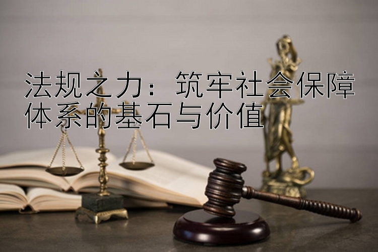 法规之力：筑牢社会保障体系的基石与价值